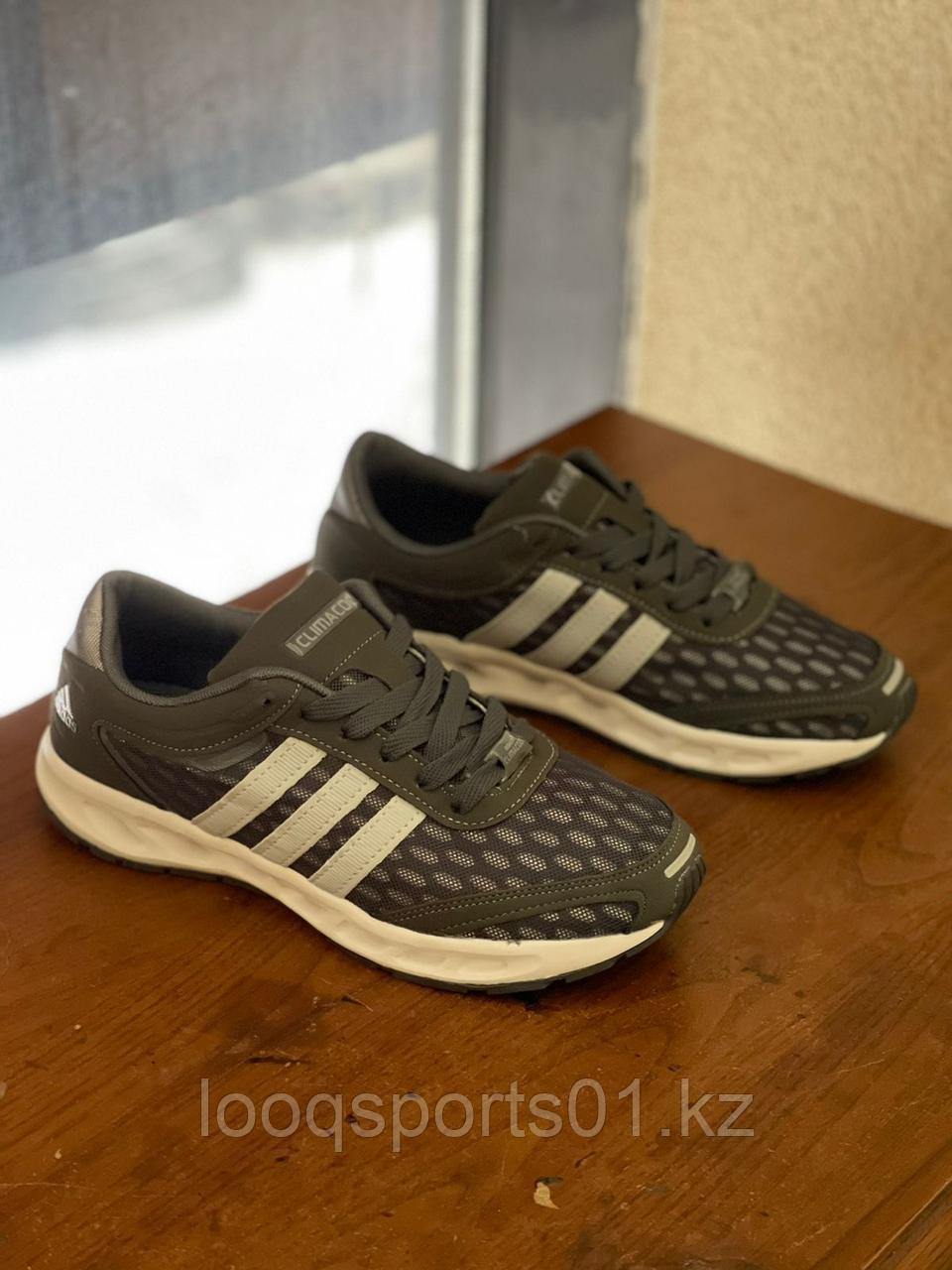 Кроссовки Adidas Climacool серые (1176)
