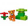 Lego Duplo 10801 Лего Дупло Вокруг света: малыши, фото 5