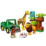 Lego Duplo 10802 Лего Дупло Вокруг света: Африка, фото 3