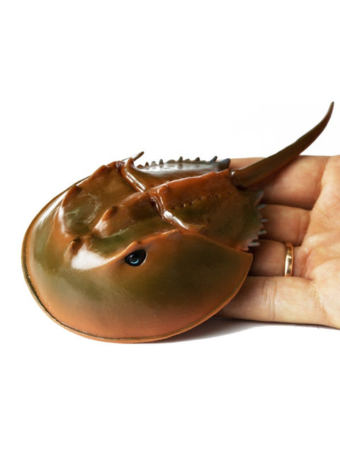 Жалаңаш кеңестік киноактерлердің бейнелері Мысық қынапты жалайды