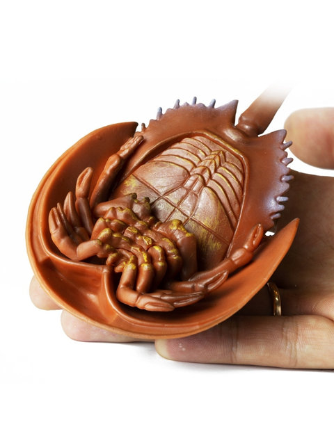 Порно видео: әйелі, сексуалды әйелі, күйеуі, бойжеткені Массаж кезінде попки