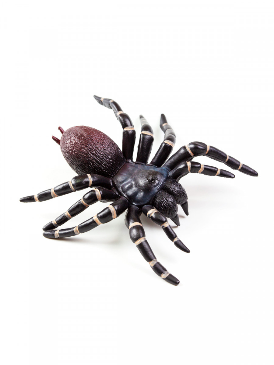 Derri Animals Фигурка Паук Воронковый, 12 см. 84331, фото 1