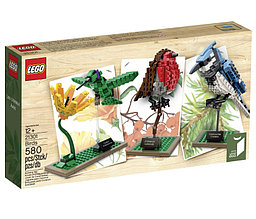 21301 Lego Ideas Птицы