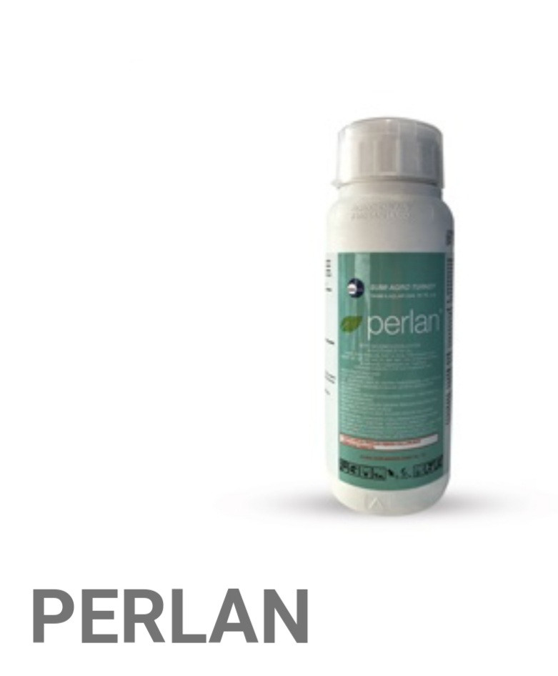 Perlan