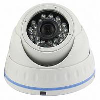 AltCam DDMV21IR