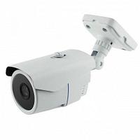 AltCam DCV21IR-2