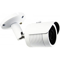 AltCam DCF81IR