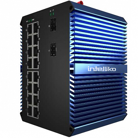 Intelliko INT-VNST2024-174