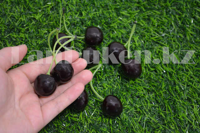 Ер адамның есегін жалау (фото)