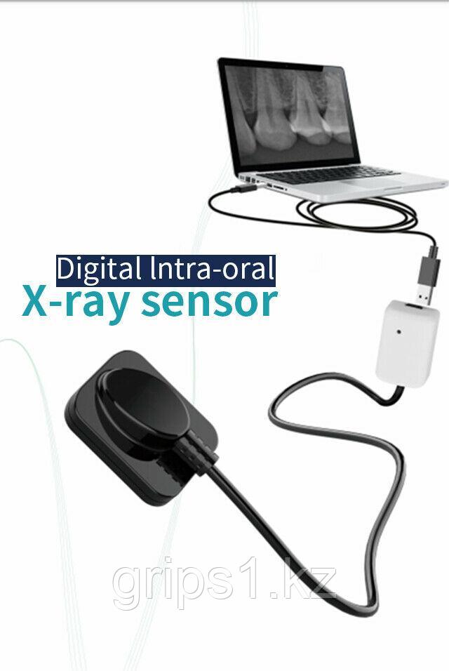 Визиограф Eco-sensor Apple Dental. Радиовизиограф для стоматологии (Китай)