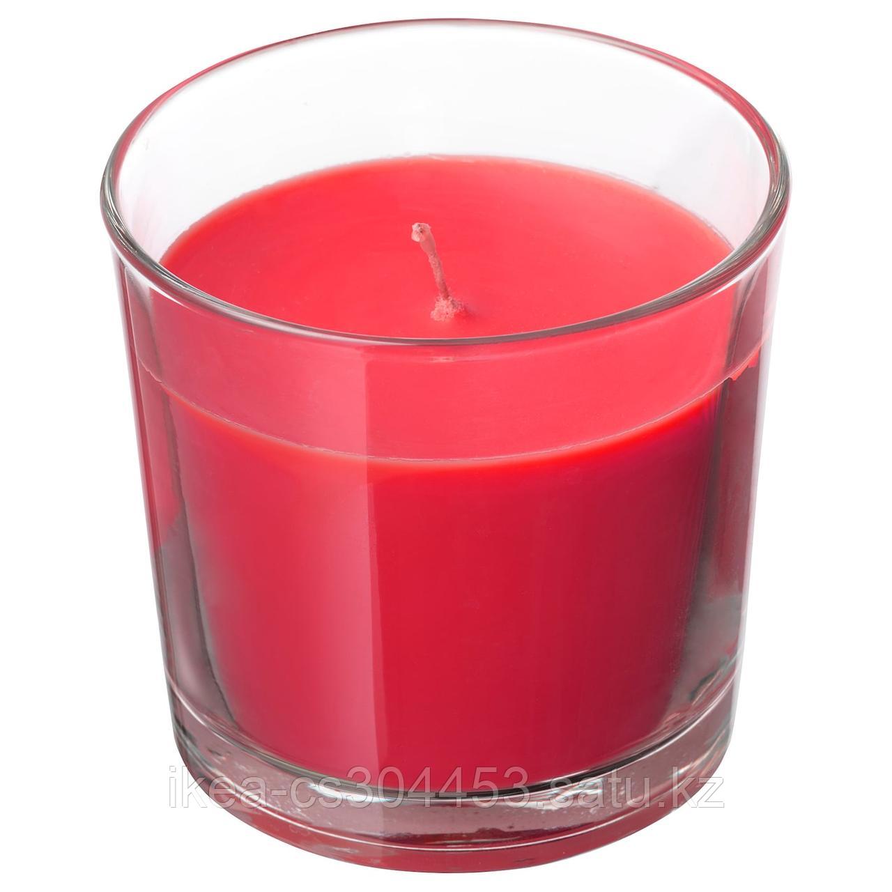 SINNLIG СИНЛИГ Ароматическая свеча в стакане, Красные садовые ягоды/красный,