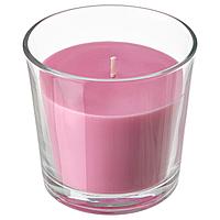 SINNLIG СИНЛИГ Ароматическая свеча в стакане, Вишневый/ярко-розовый,