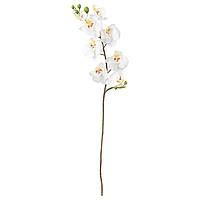 SMYCKA СМИККА Цветок искусственный, Орхидея/белый,