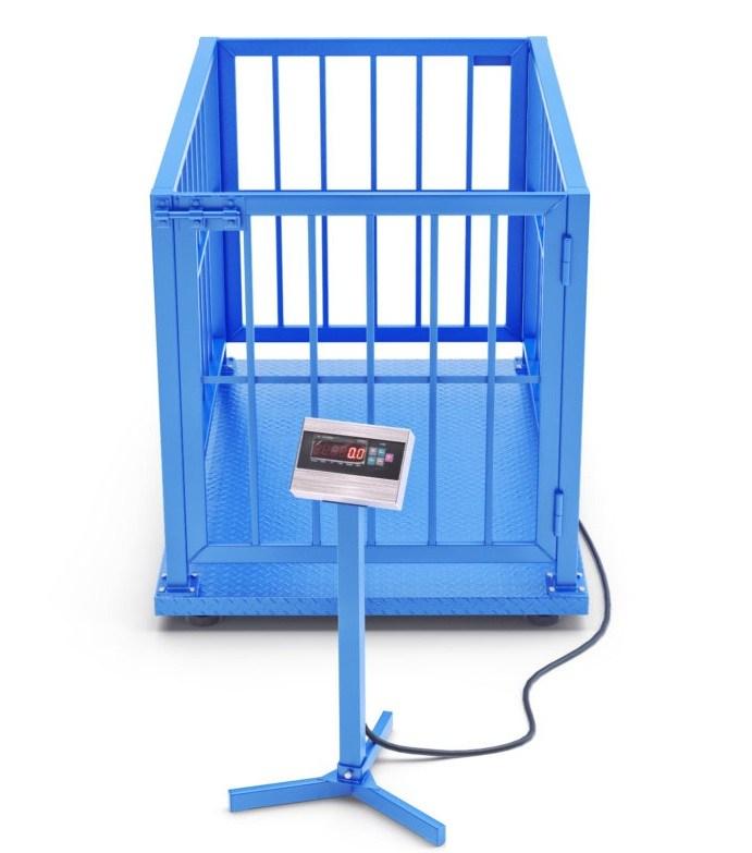 Весы для взвешивания животных стационарные 1500х1250 мм: продажа, цена ...