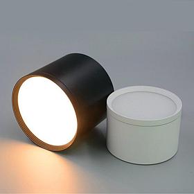 Точечный, накладной светильник, 140 х 75 мм, 4500к, 12 вт, (белый, черный), TD-010
