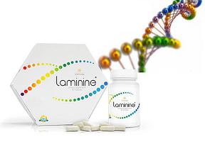 LifePharm Global Network - Laminine (Ламинин)