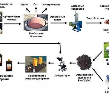 Пойыз купесінде минет (қыздардың суреттері) Пискасыз прима нені білдіреді?