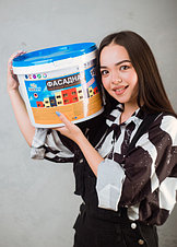 Краска водоэмульсионная Фасадная (для наружных работ)