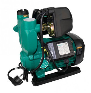 Цирктегі порно фильм