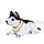 Собачка, кивающая головой (болванчик) в машину черно белая Хаски освежитель цепочка и липучка в упаковке, фото 5