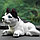 Собачка, кивающая головой (болванчик) в машину черно белая Хаски освежитель цепочка и липучка в упаковке, фото 7