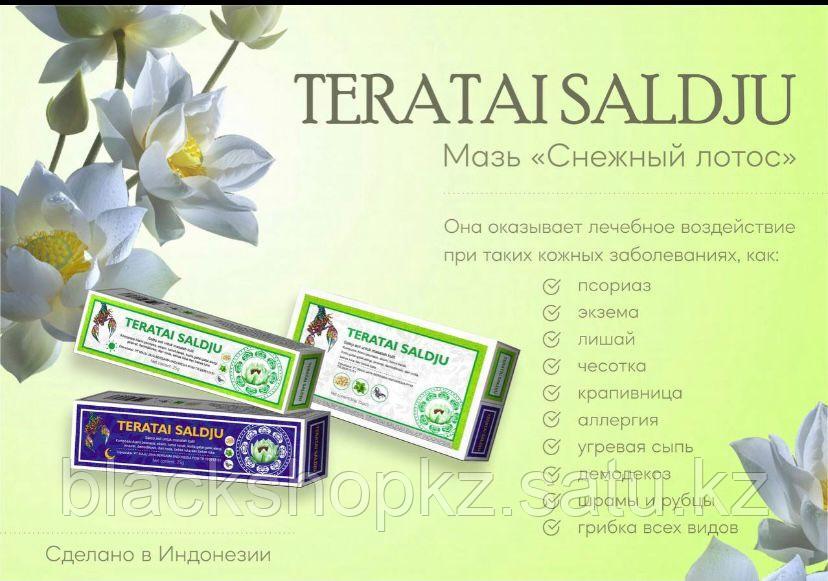 Мазь Teratai Saldju против псориаза, экземы, лишая, кожного грибка, ногтевого грибка и аллергии - фото 1 - id-p97804960