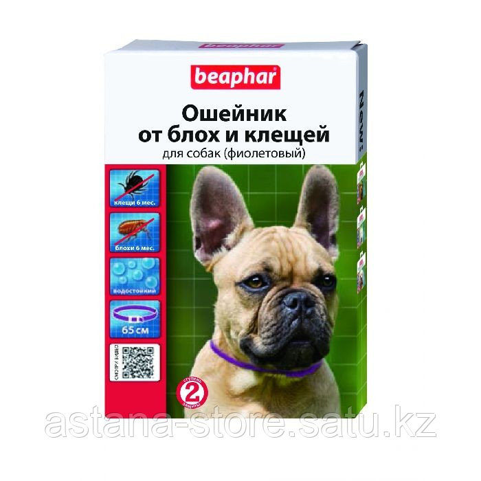 Порно: арық қызды ұрып-соғу Регина Дубовицкаяның порно фейктері