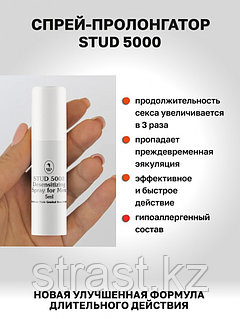 Майлы кискалардың жақыннан түсірілген фотосуреттері