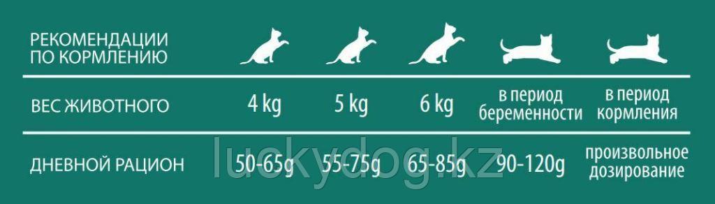 Essentia 7,5кг с уткой и кроликом Сухой корм для взрослых кошек SENSIBLE - фото 3 - id-p97835132
