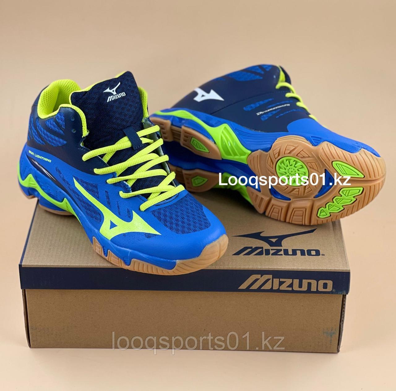 Волейбольные кроссовки Mizuno Wave Lightning (2279)