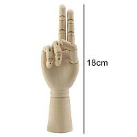 Модель "Кисть руки" 18 см, правая, фото 1