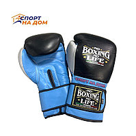 Спарринг перчатки для бокса No Boxing No Life кожаные 14 OZ