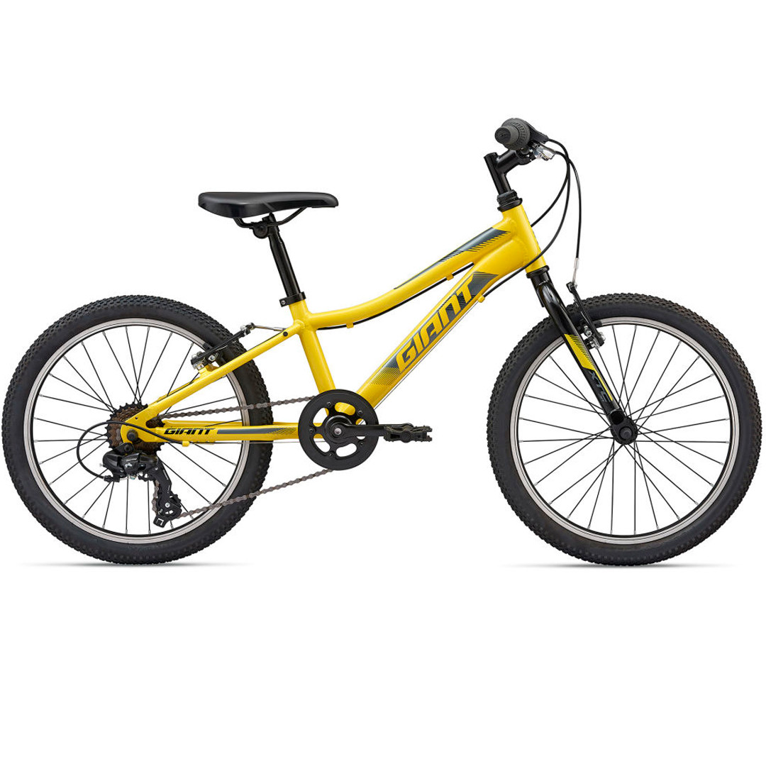 Детский велосипед Giant XtC Jr 20 Lite (2020)