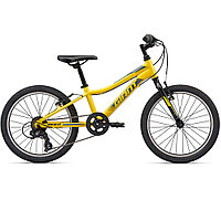 Детский велосипед Giant XtC Jr 20 Lite (2020)