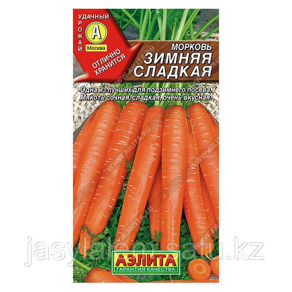 Морковь Зимняя сладкая - фото 1 - id-p97860530