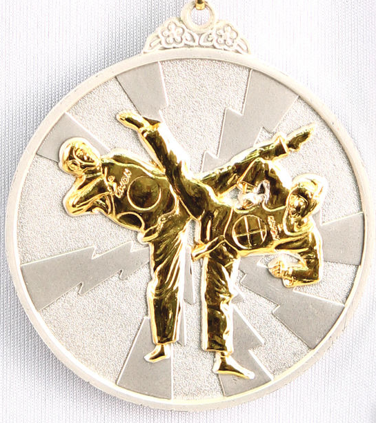 Медаль рельефная "ТХЭКВОНДО" (серебро)