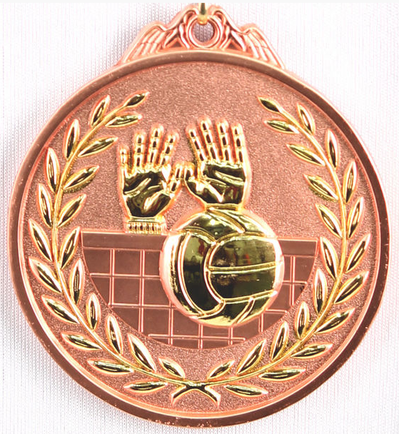 Медаль рельефная "ВОЛЕЙБОЛ" (бронза) - фото 1 - id-p97862590