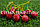 Искусственная черешня декоративная муляж 5шт красная, фото 3