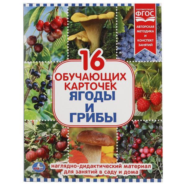 Умка Наглядно-дидактический материал «Ягоды и грибы», 16 развивающих карточек