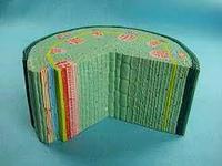 Модель строения стебля