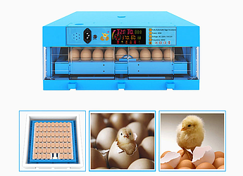 Инкубатор программируемый с овоскопом "УМНИЦА" S-64B , 64 яиц