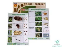 Ересектерге арналған фотосессия галереясы Үлкен сиськи