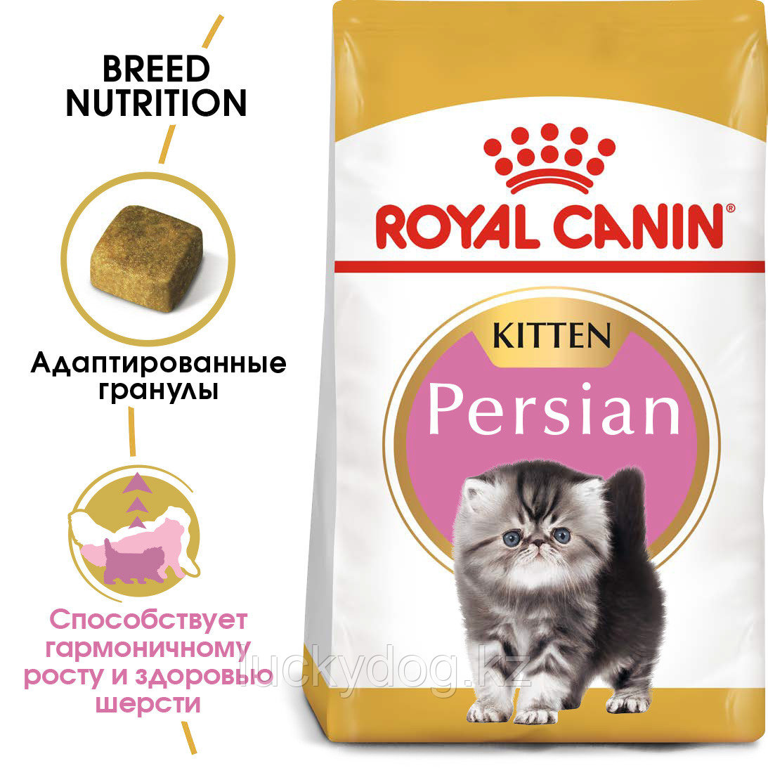 Royal Canin Kitten Persian (400г) Сухой корм Роял Канин для Котят Персидской породы - фото 2 - id-p3536382