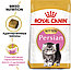 Royal Canin Kitten Persian (400г) Сухой корм Роял Канин для Котят Персидской породы, фото 2