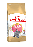 Royal Canin Kitten British Shorthair 400г, сухой корм Роял Канин для котят британской короткошёрстной породы