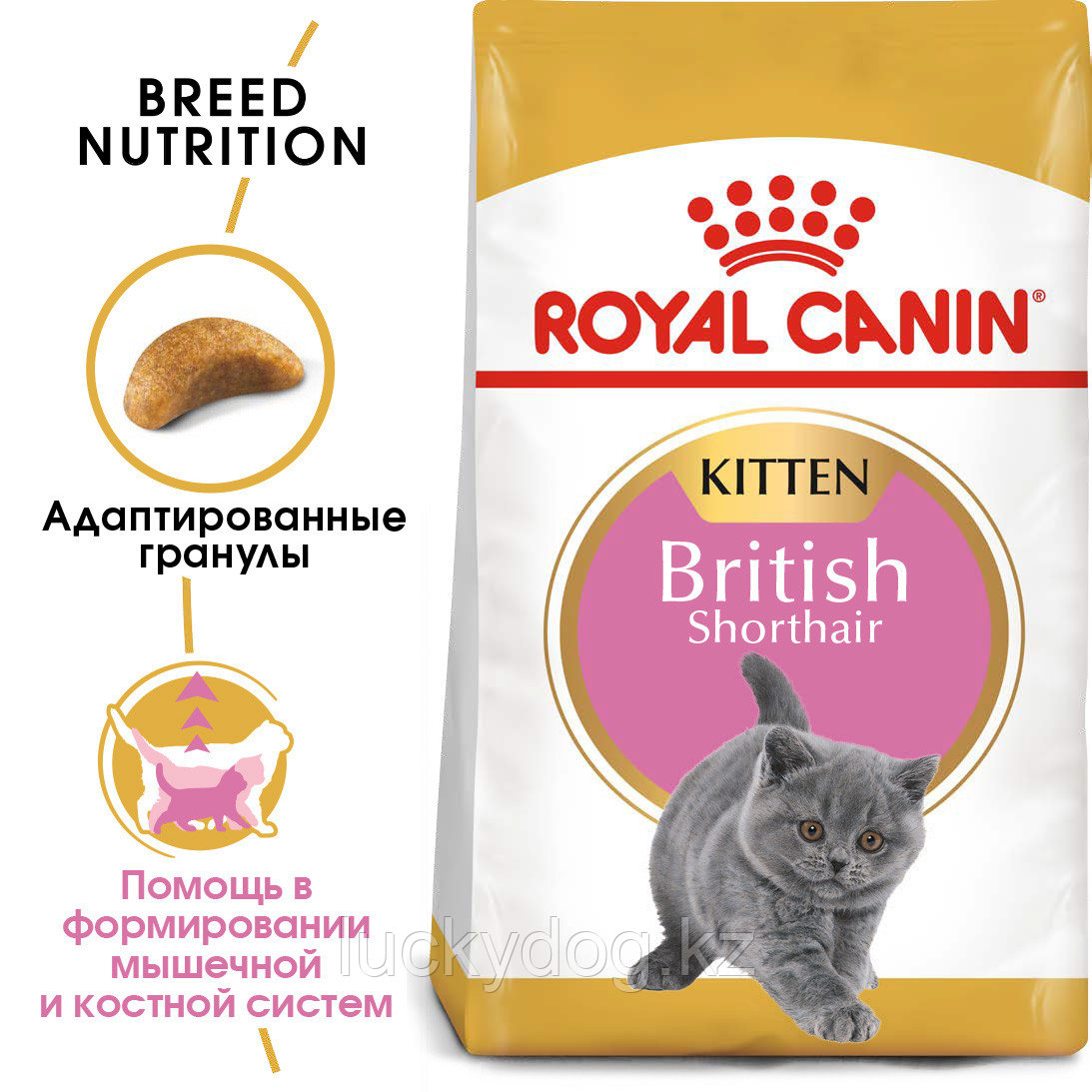 Royal Canin Kitten British Shorthair 400г, сухой корм Роял Канин для котят британской короткошёрстной породы - фото 2 - id-p4492541