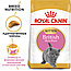 Royal Canin Kitten British Shorthair 400г, сухой корм Роял Канин для котят британской короткошёрстной породы, фото 3