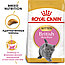 Royal Canin Kitten British Shorthair 400г, сухой корм Роял Канин для котят британской короткошёрстной породы, фото 2