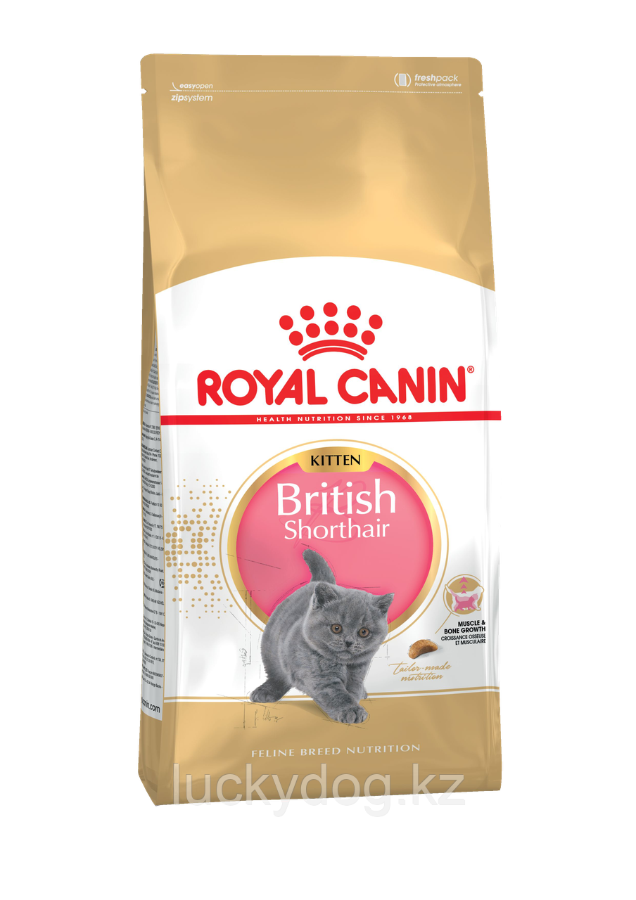 Royal Canin Kitten British Shorthair (10кг) Сухой корм для котят британской короткошерстной