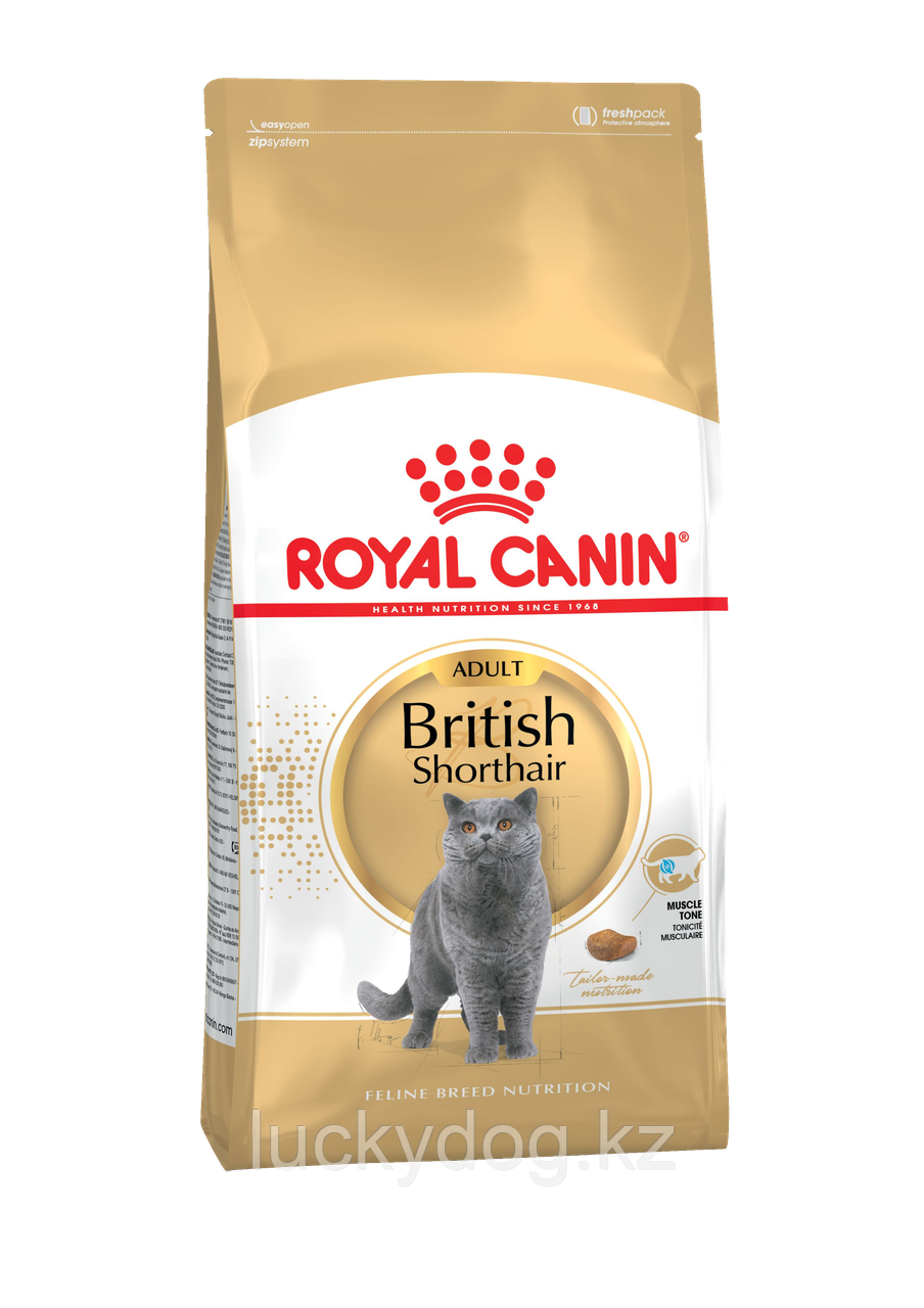 Royal Canin British Shorthair (2кг) Сухой корм Роял Канин для британцев - фото 1 - id-p3496439